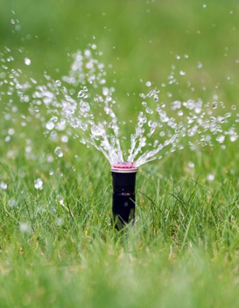 Evergreen Sprinkler and Landscaping Services