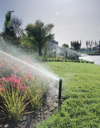 Evergreen Sprinkler and Landscaping Services